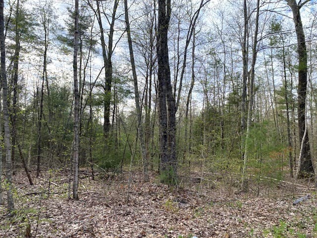 27 New Athol Rd Lot 408/77-12 photo 2