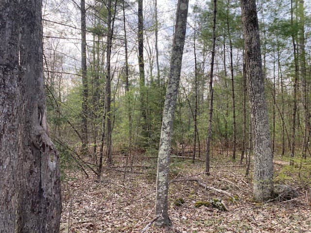 27 New Athol Rd Lot 408/77-12 photo 3