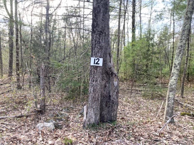 27 New Athol Rd Lot 408/77-12