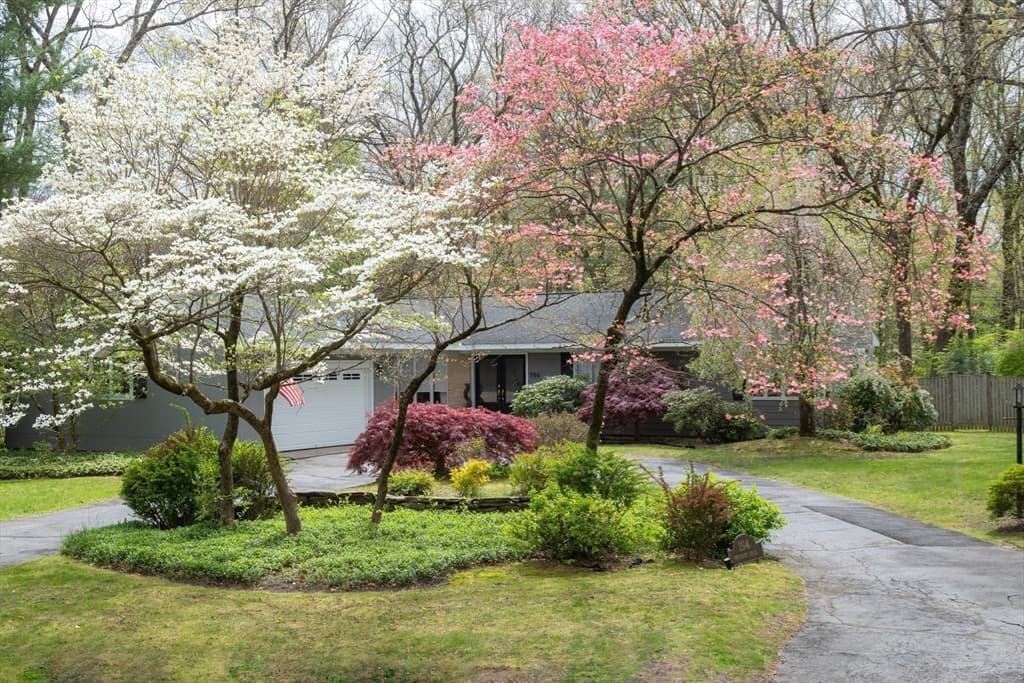 194 Primrose Dr photo 2