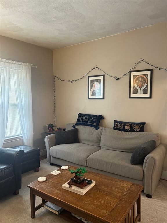 51 Windsor Rd #51 photo 2