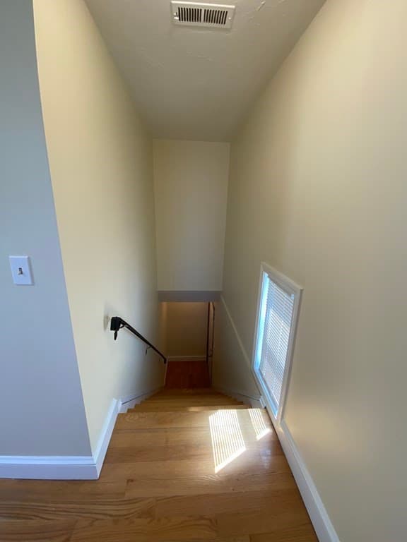 28B Wren #28B photo 3