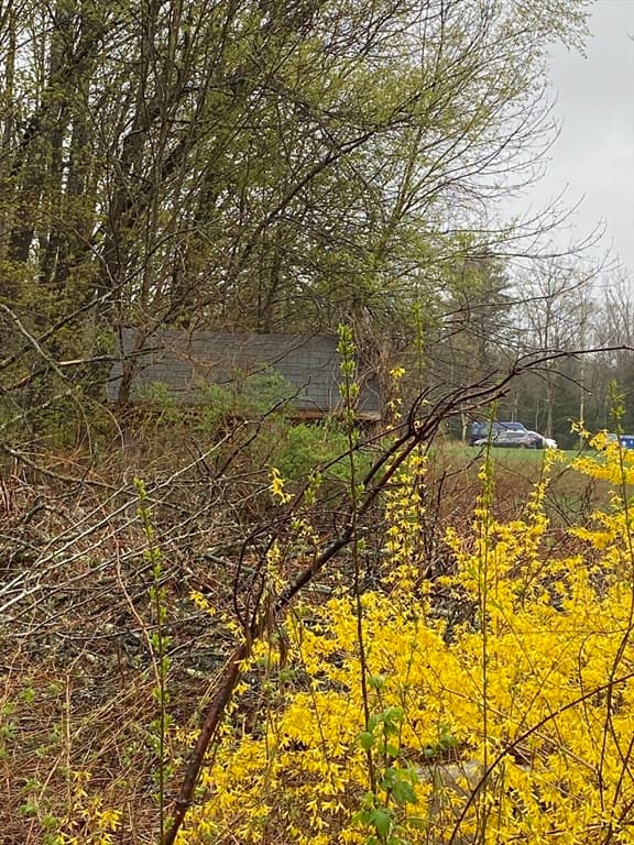 150 Athol Rd photo 5