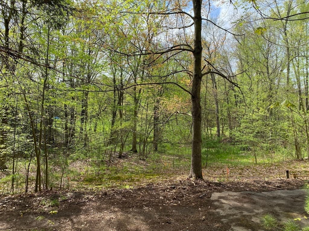 LOT 2 Mountain Rd photo 5