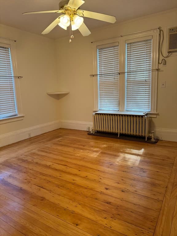 24 Elm Street #1 photo 5