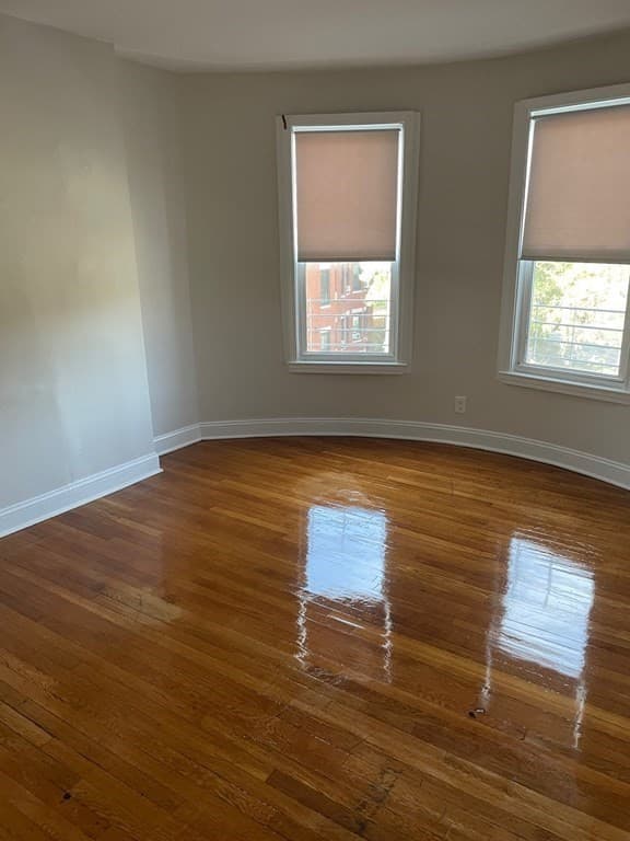 184 Walnut Ave #1 photo 3