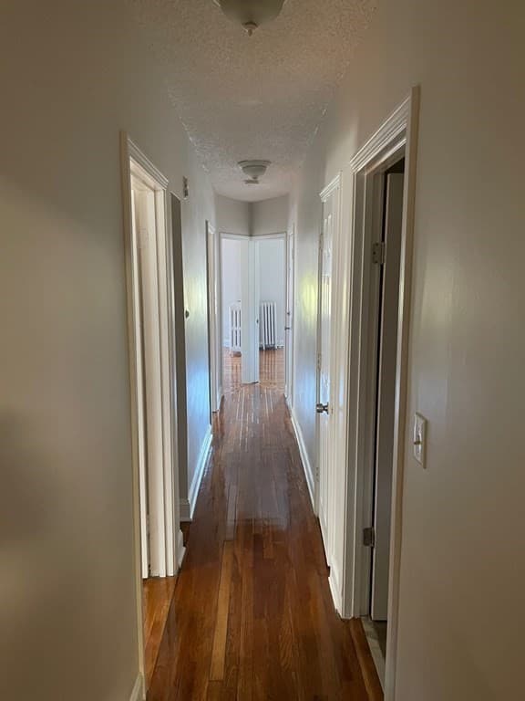 184 Walnut Ave #1 photo 4