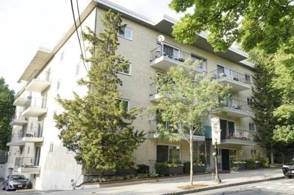 15 Francis St #41 photo 4
