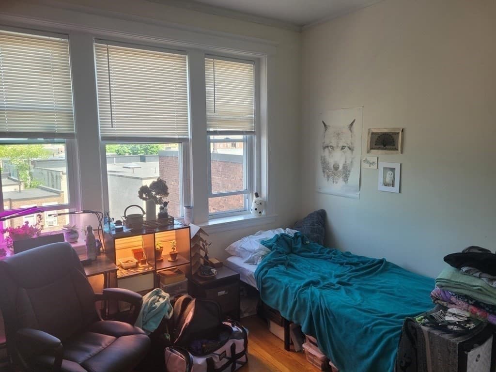 1653 Commonwealth Ave #7 photo 4