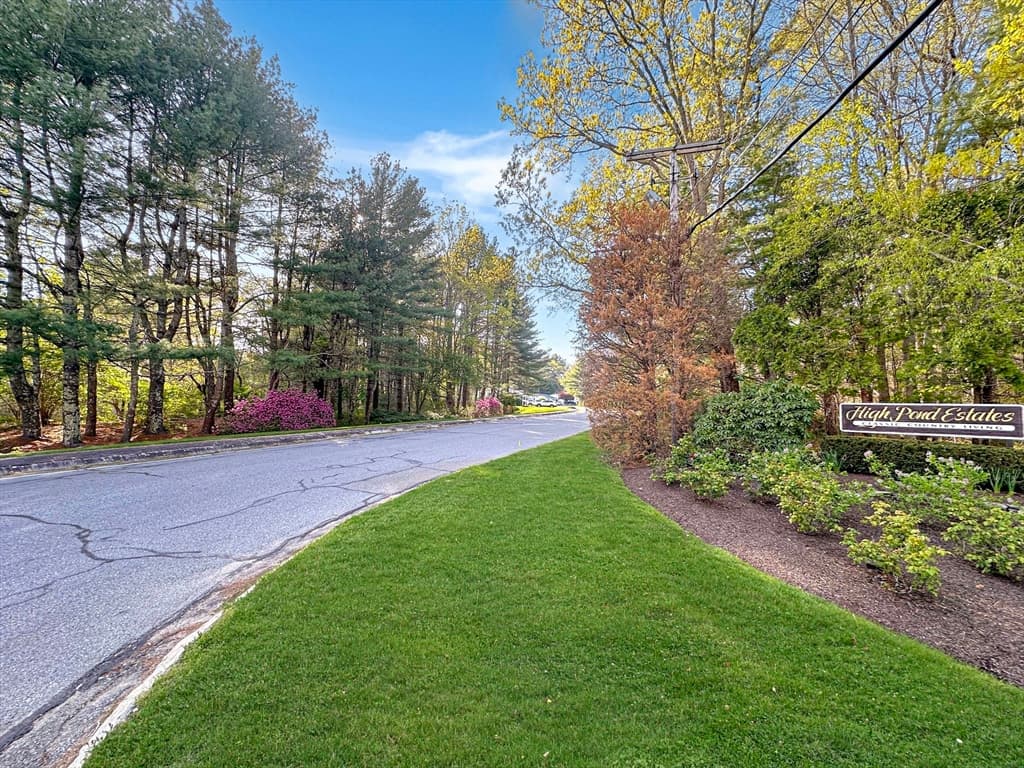 7 Trailwood Drive photo 4