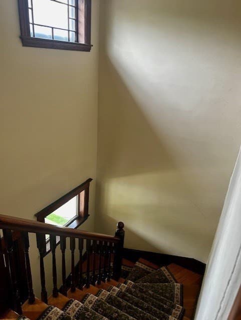 30 Chauncey Street #1 photo 5