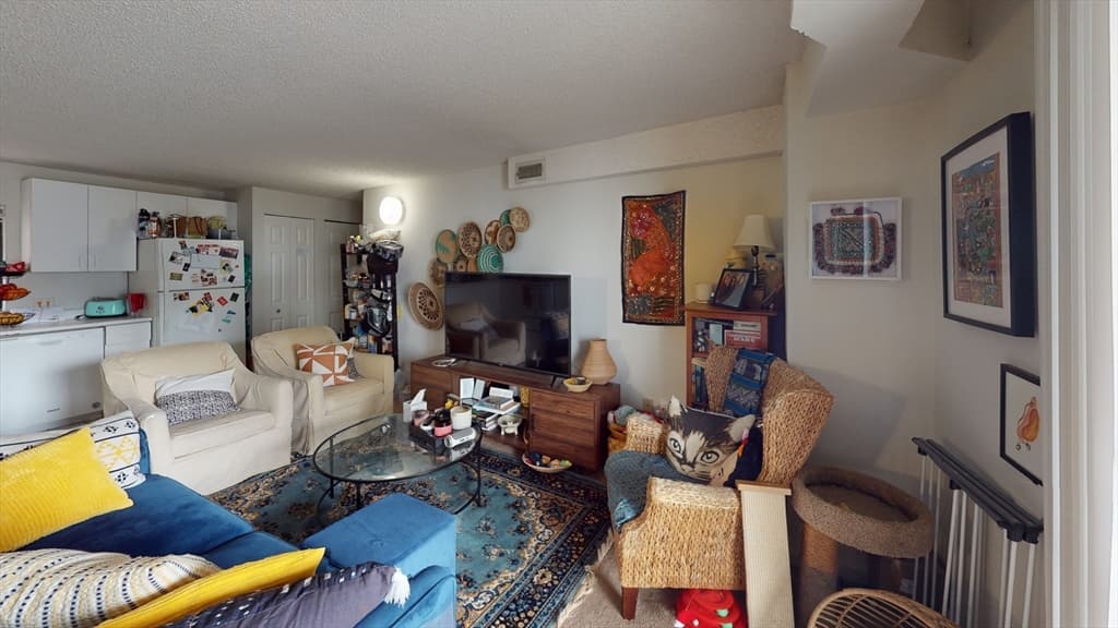 16 Elmer St #205 photo 2
