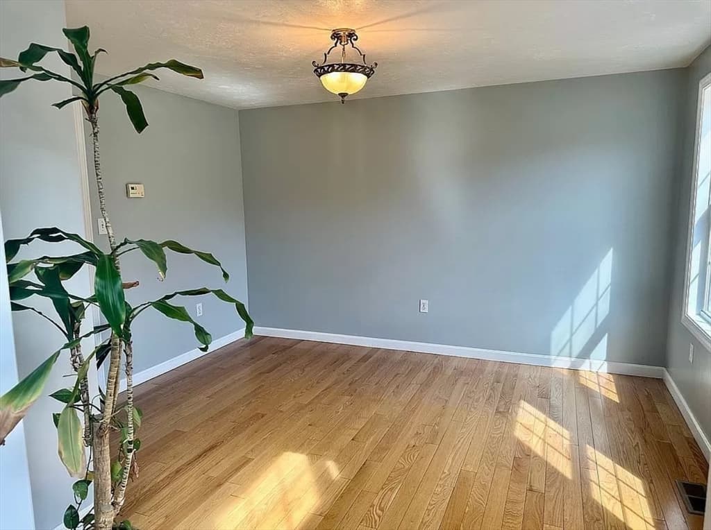 12 Jaclyn Rae Drive photo 5