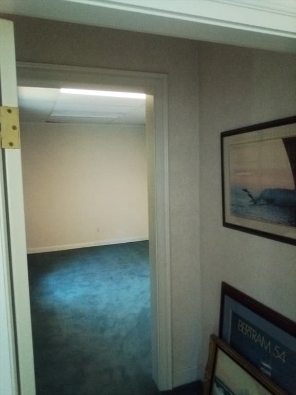 95 Elm St #2 photo 4