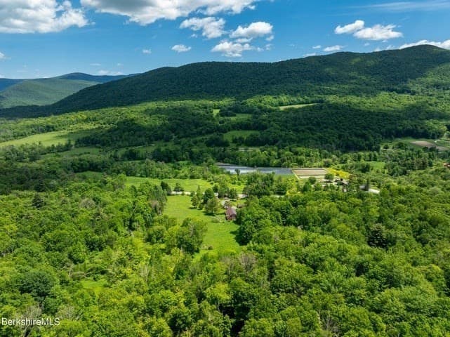 1151 Hancock Rd photo 3