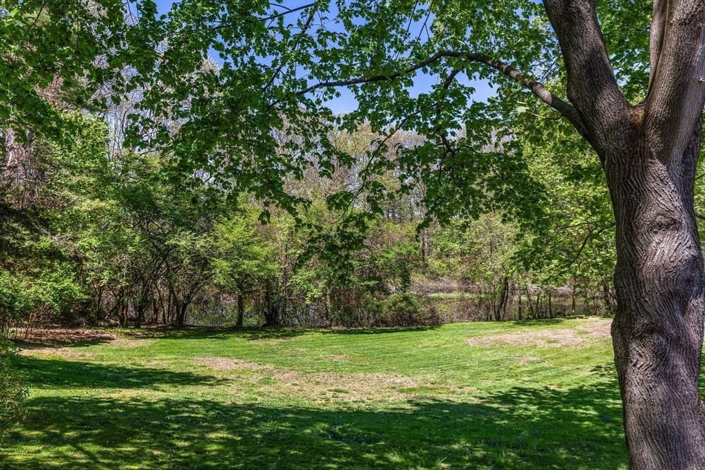 34 Carleton Rd. photo 4