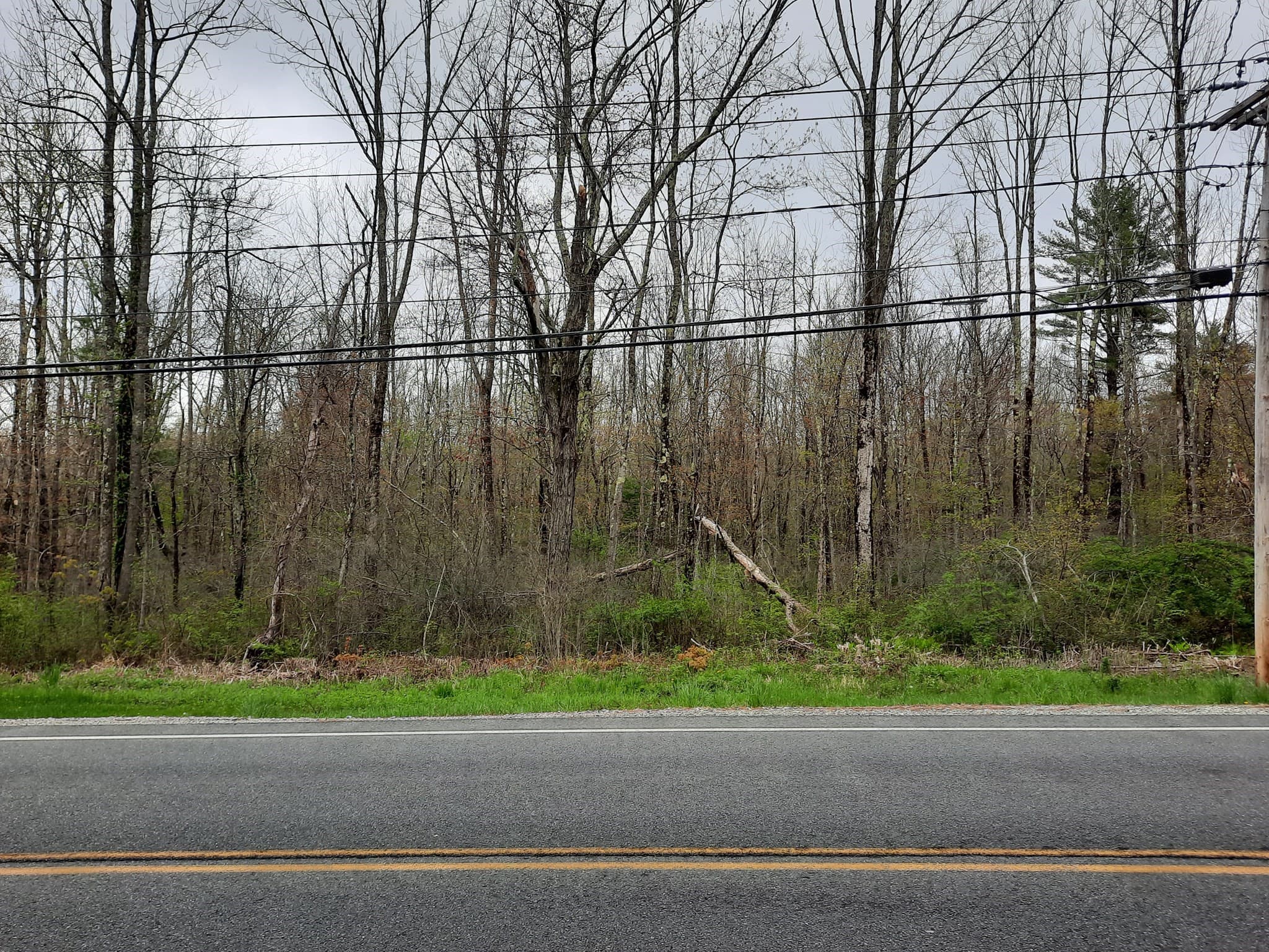 0 Main Road photo 2