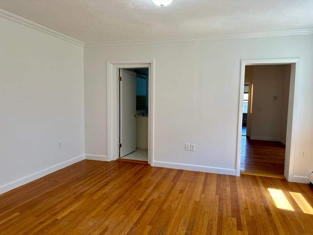 101 Bowdoin Street #1 photo 4