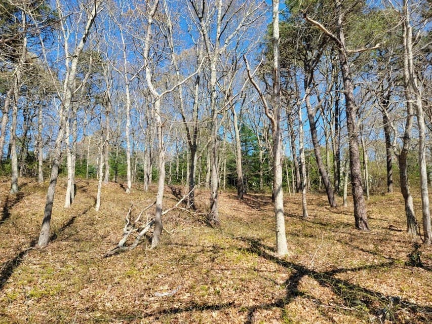 0 North Falmouth photo 3