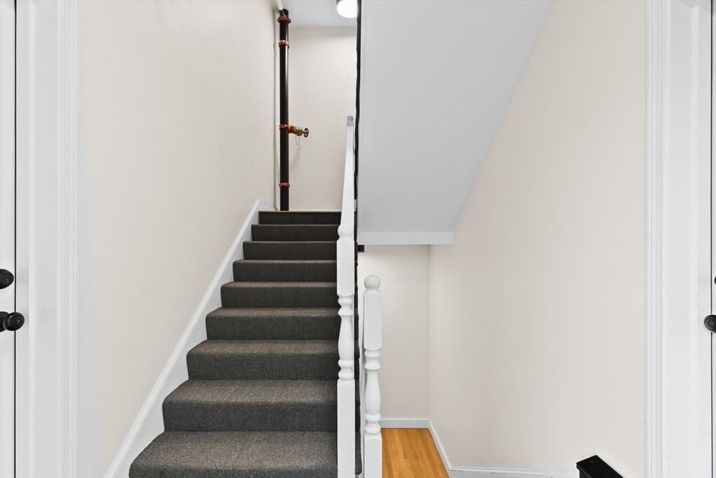 224 Court Street #2 photo 3