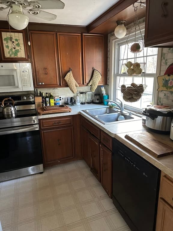 7 Pomeroy Street photo 2