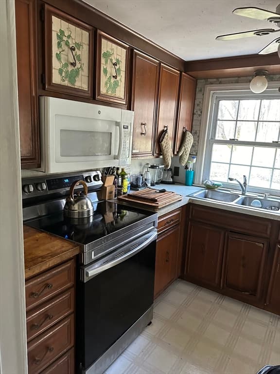 7 Pomeroy Street photo 3