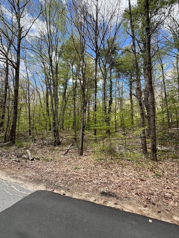 0 Secret Lake Rd Lot 47 photo 2