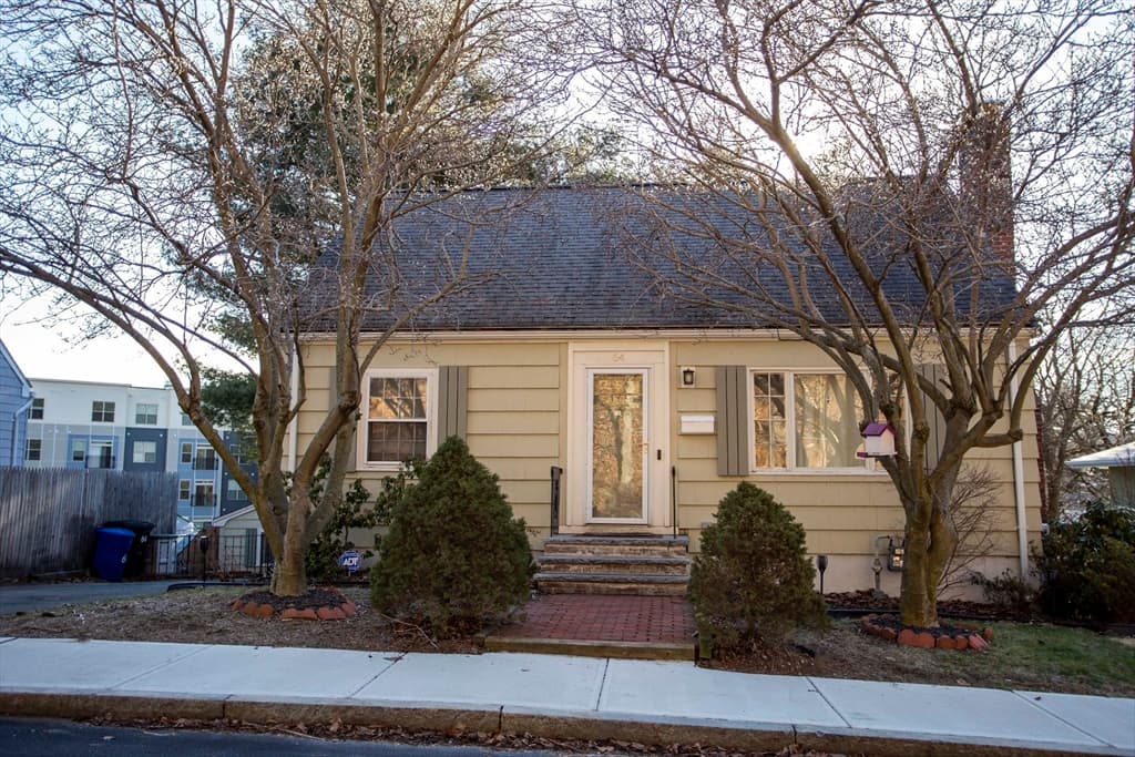 64 Brazil St photo 3