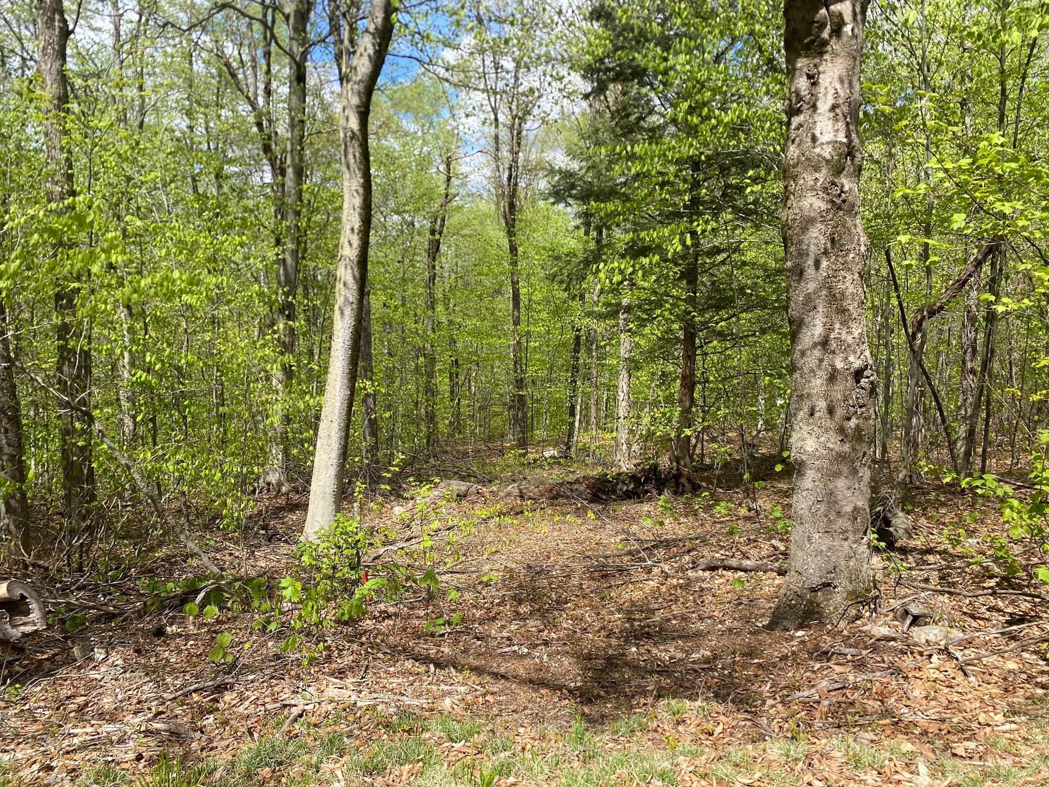 78 Shawnee Dr photo 2