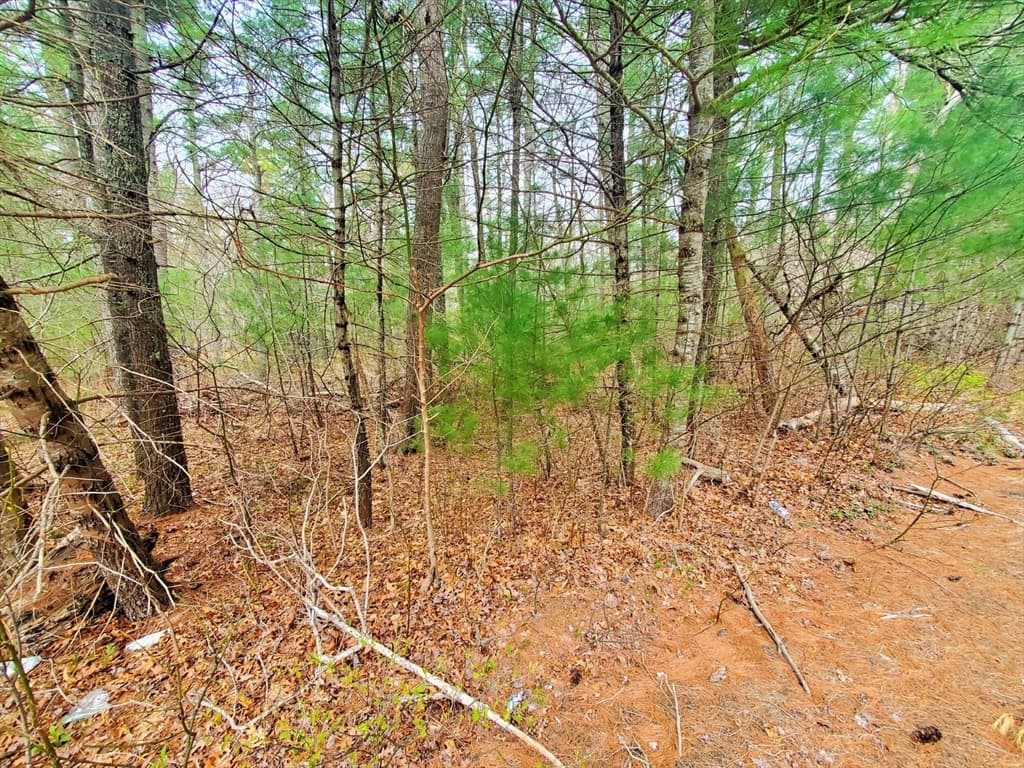 Lots 1 - 16 photo 2