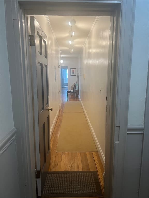 41 Linnaean St #47 photo 3