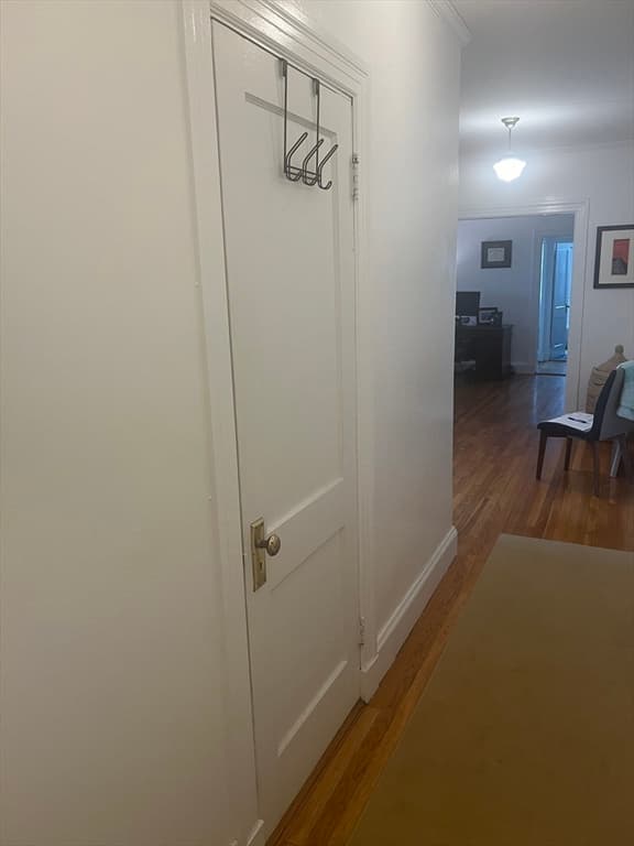 41 Linnaean St #47 photo 4