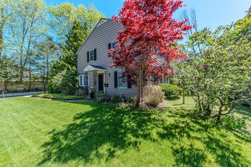 173 Rowayne Park photo 5