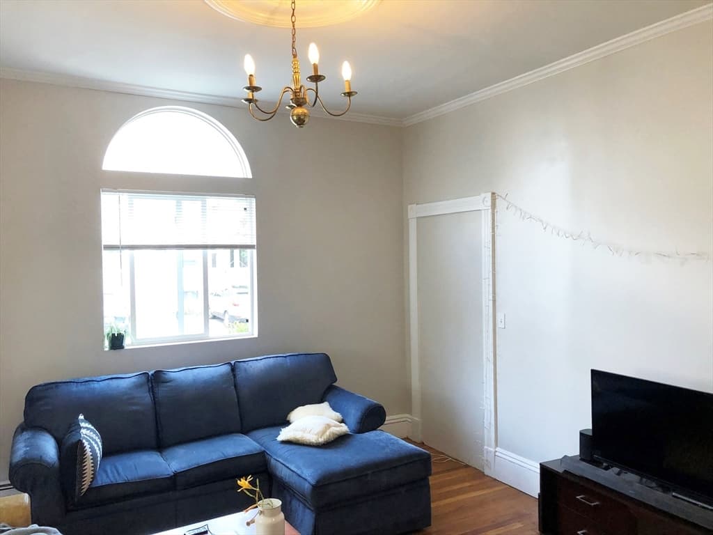 15 Ashford #1 photo 5