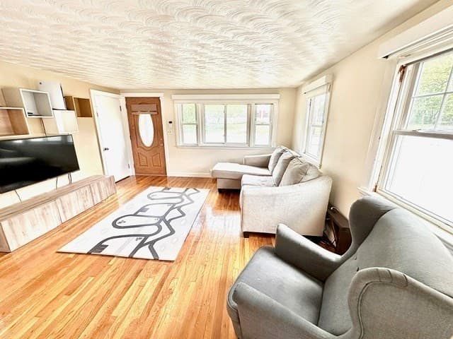 31 Pine photo 5