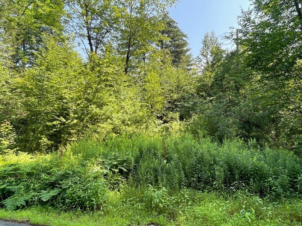 0 West Road photo 3