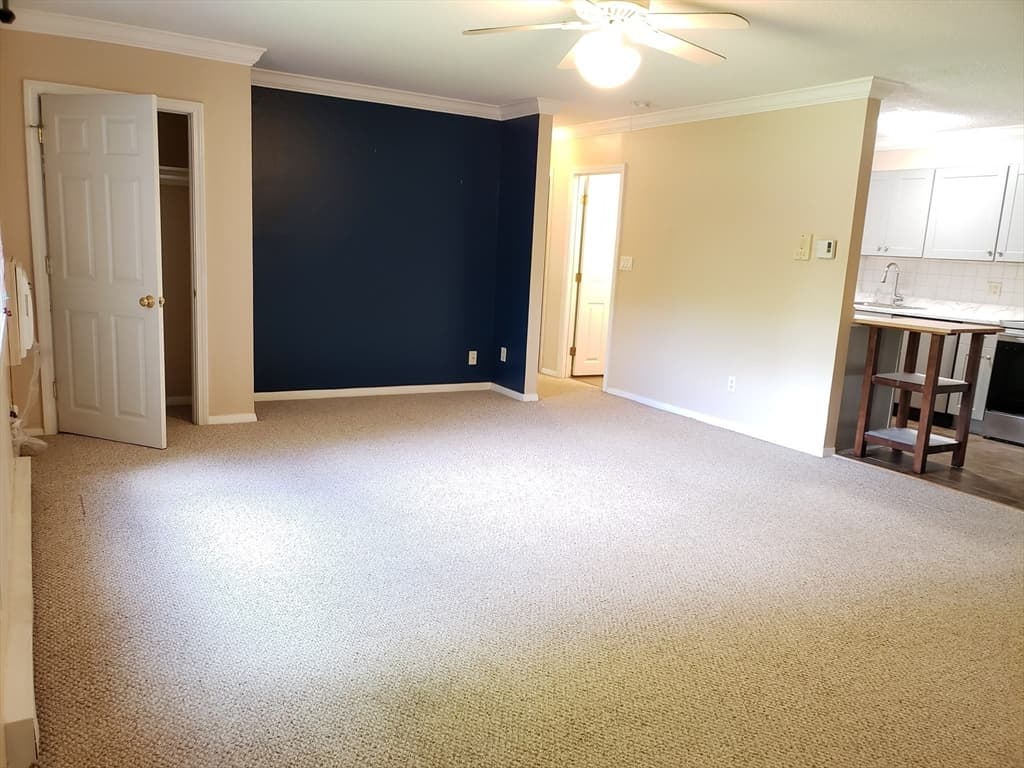 11 Dailey St #H photo 3