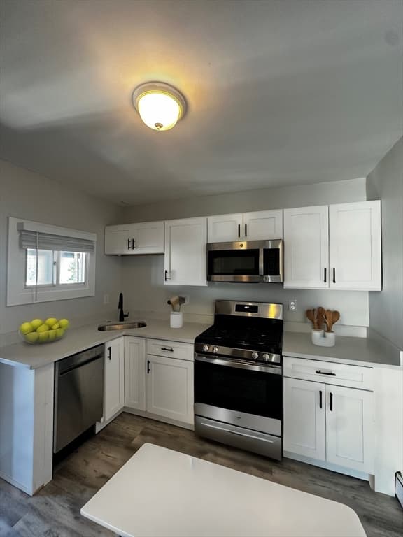 131 Trenton Street #3