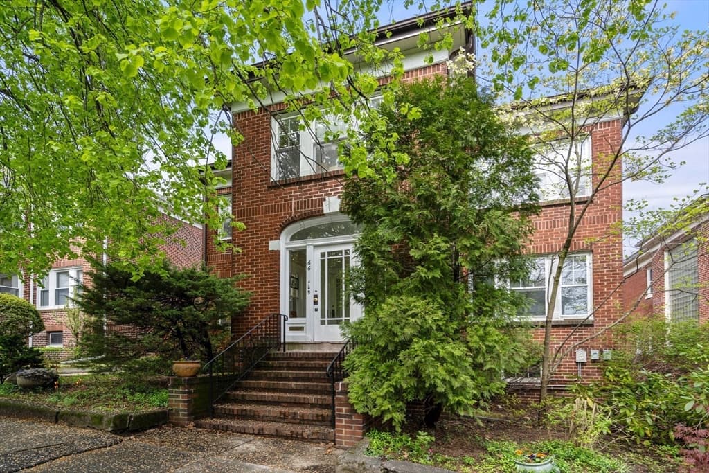 66 Lawton Street #1