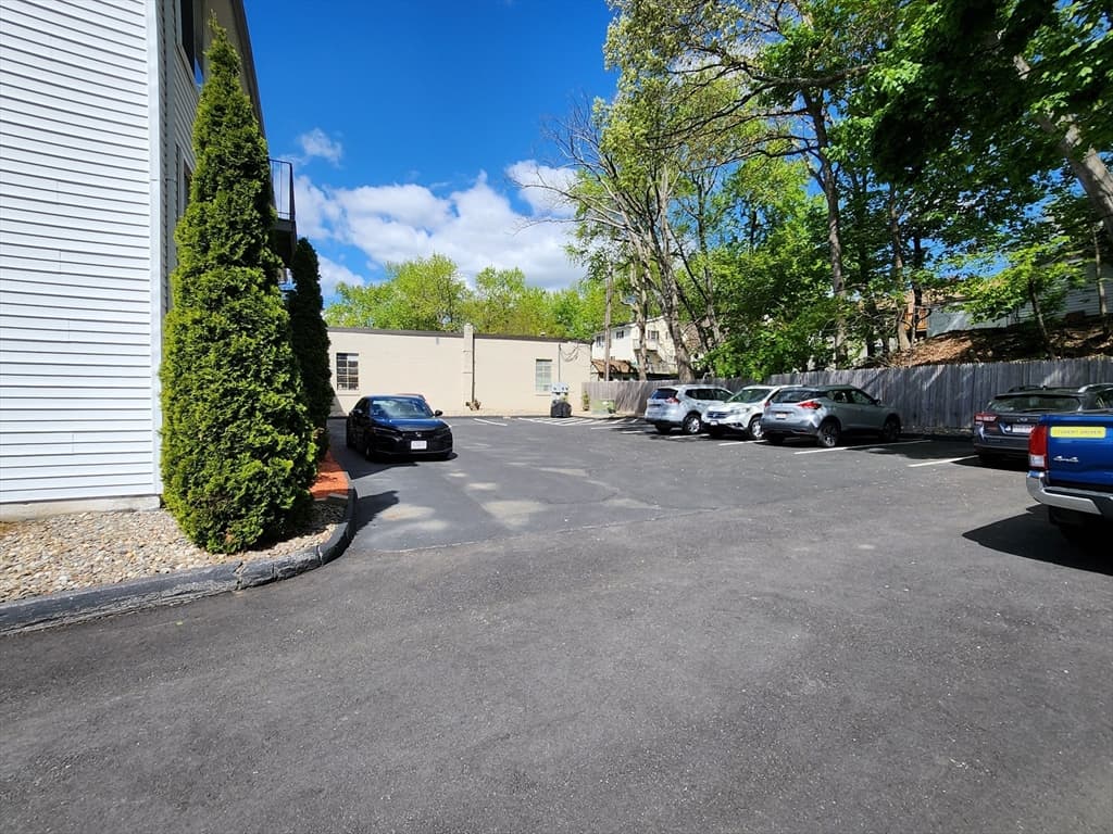 155 Hamilton St #4 photo 4