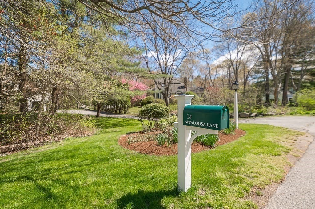 14 Appaloosa Ln photo 2