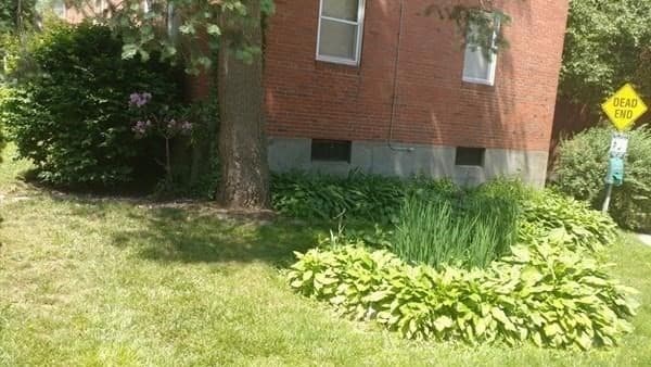 100 Morton #54 photo 3