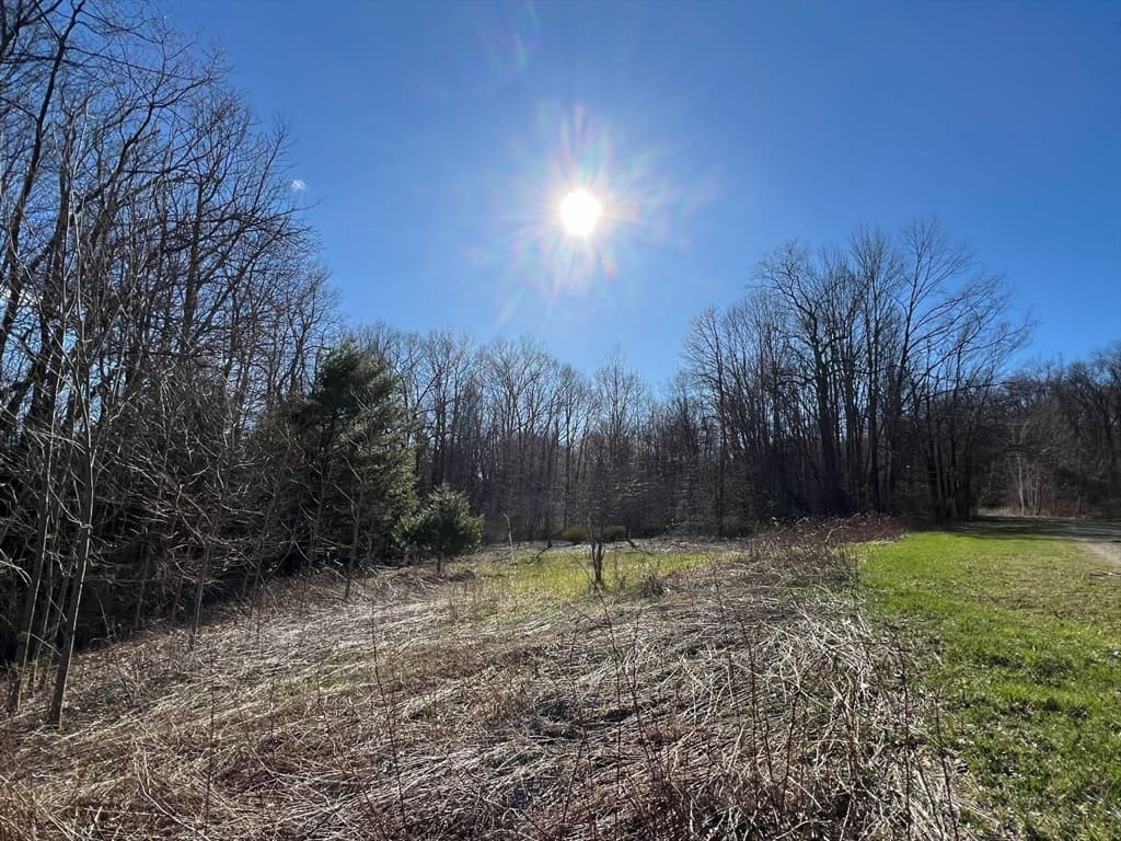 26 Deer Run photo 2