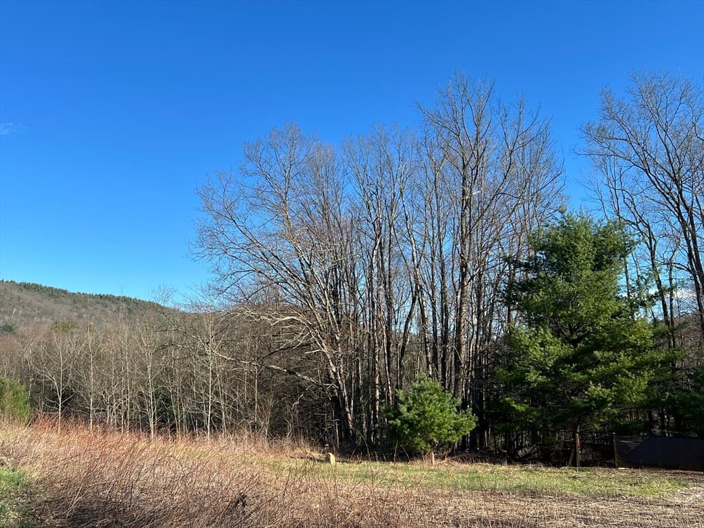 25 Deer Run