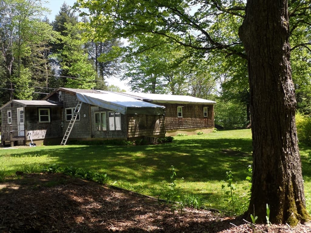 561 Dingle Rd photo 4