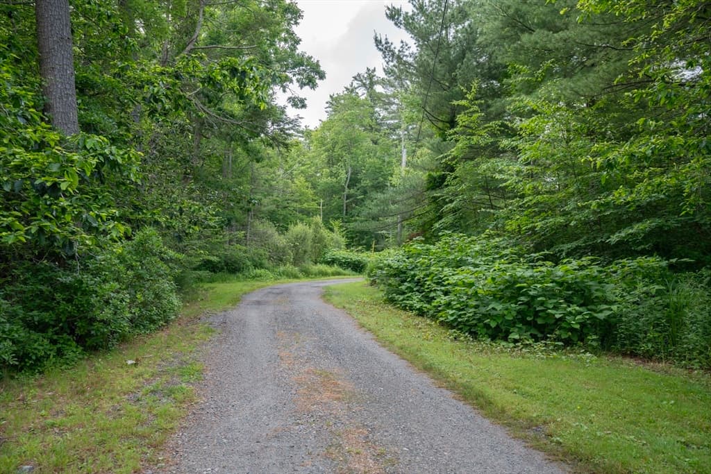 16 Hemlock Shore Road photo 5