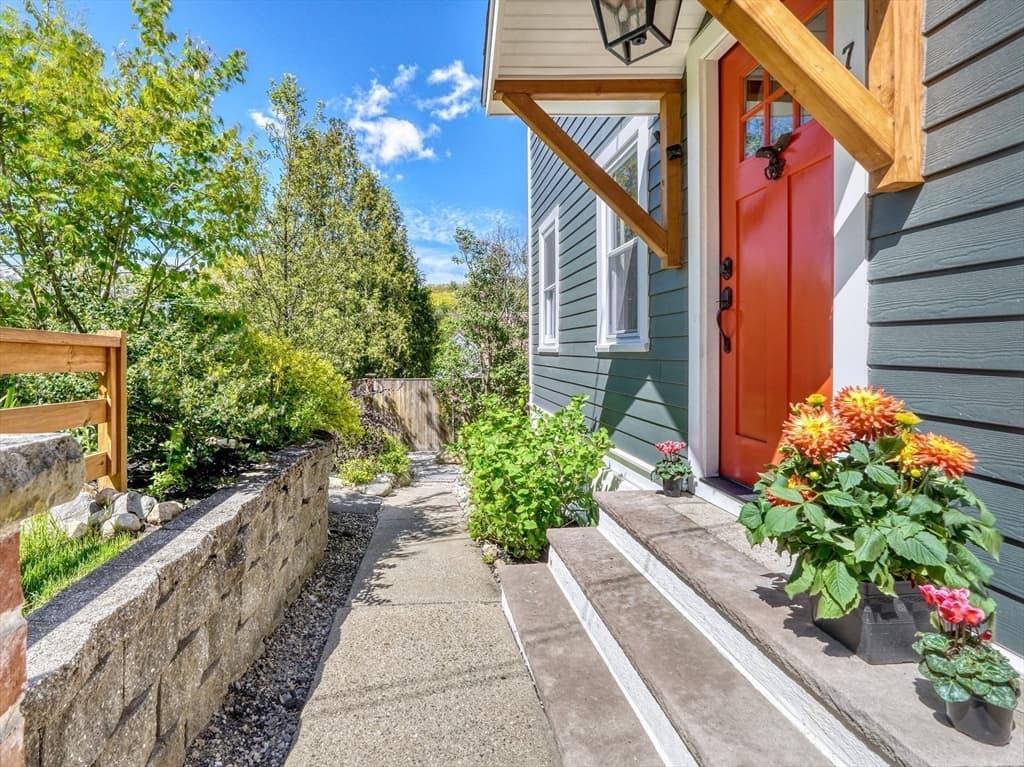 7 Cargill Street photo 4