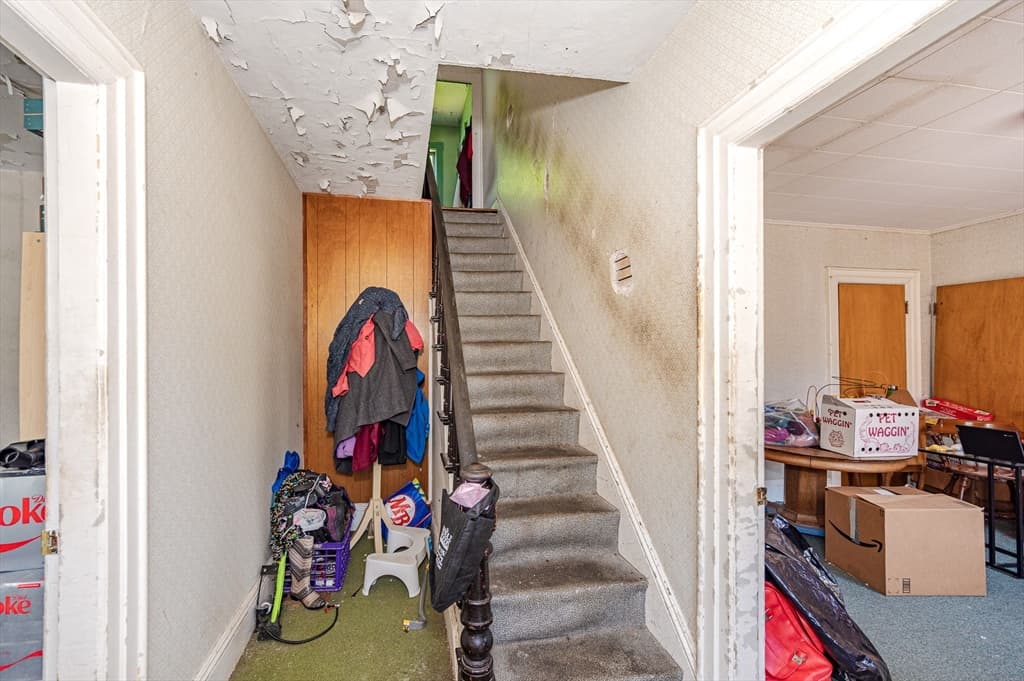 26 Phillips St photo 3