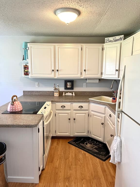 174 Lowell Rd #55 photo 4