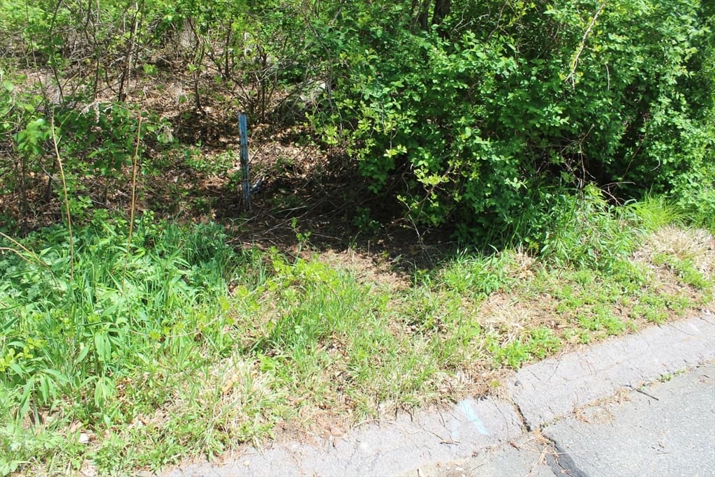 3 Paddock Lane photo 3